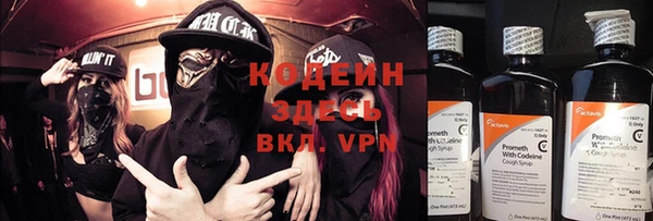 мет Ельня