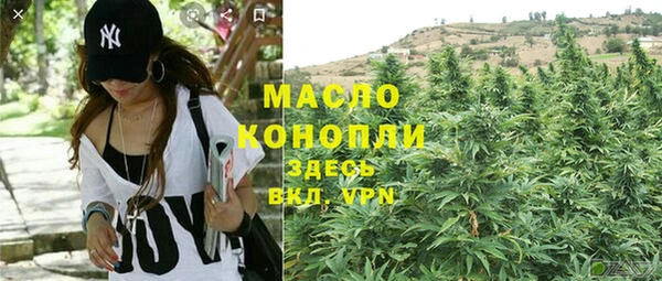 мет Ельня