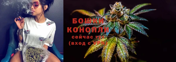 мет Ельня
