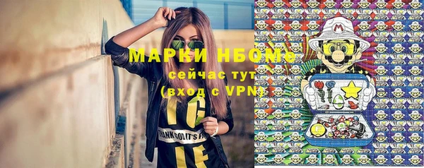 мет Ельня
