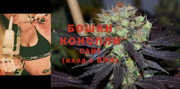 мет Ельня