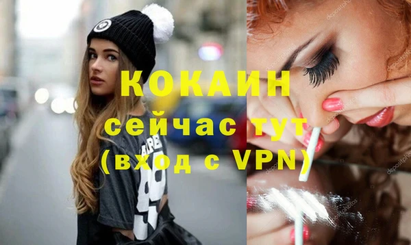 мет Ельня